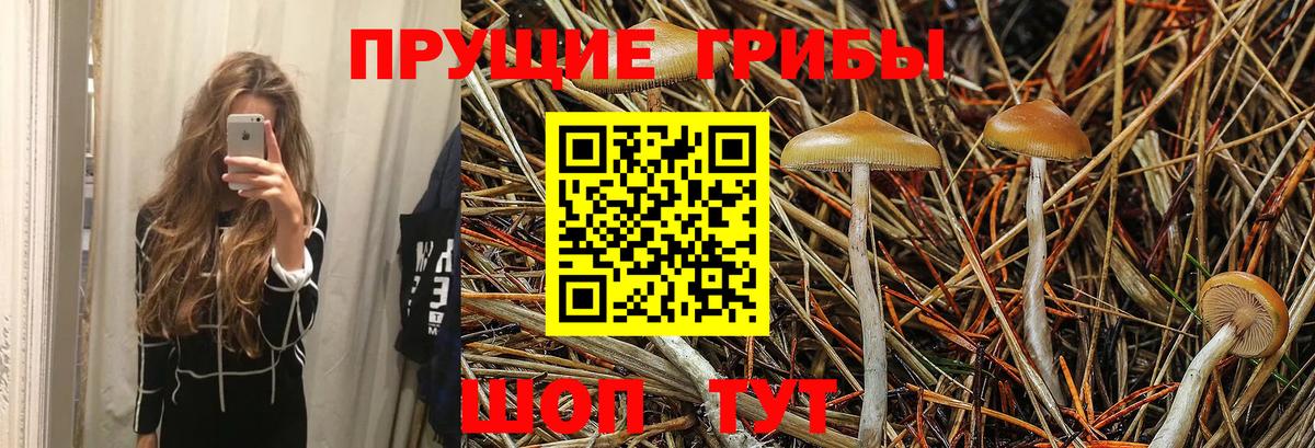 Псилоцибиновые грибы Magic Shrooms  цены   Псилоцибиновые грибы Psilocybine cubensis  Воркута  Вход с VPN 